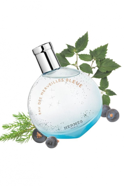 Parfum Hermes Eau Des Merveilles Bleue EDT 50 mlIVET.RO - Reduceri de până la -80%