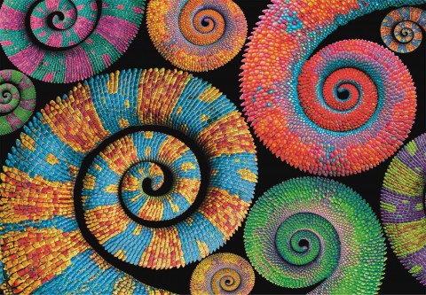 Puzzle Clementoni 500 de piese - SpiralăIVET.RO - Reduceri de până la -80%