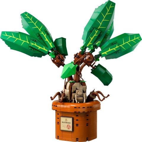 76433 | MandragoraIVET.RO - Reduceri de până la -80%