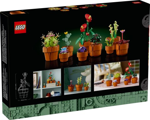 10329 | Plante miciIVET.RO - Reduceri de până la -80%