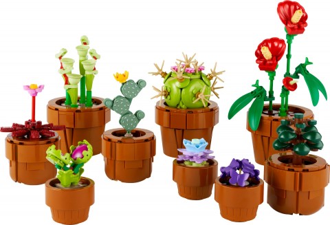 10329 | Plante miciIVET.RO - Reduceri de până la -80%
