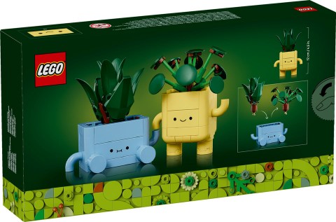 10349 – Plante FericiteIVET.RO - Reduceri de până la -80%