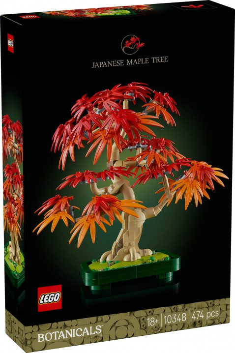 10348 – Bonsai Arțar Japonez RoșuIVET.RO - Reduceri de până la -80%