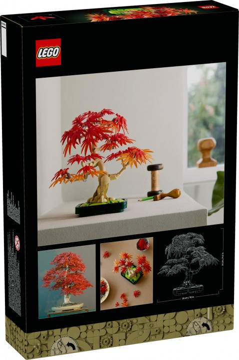 10348 – Bonsai Arțar Japonez RoșuIVET.RO - Reduceri de până la -80%