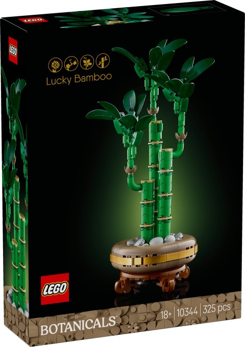 10344 | Dracena SanderaIVET.RO - Reduceri de până la -80%