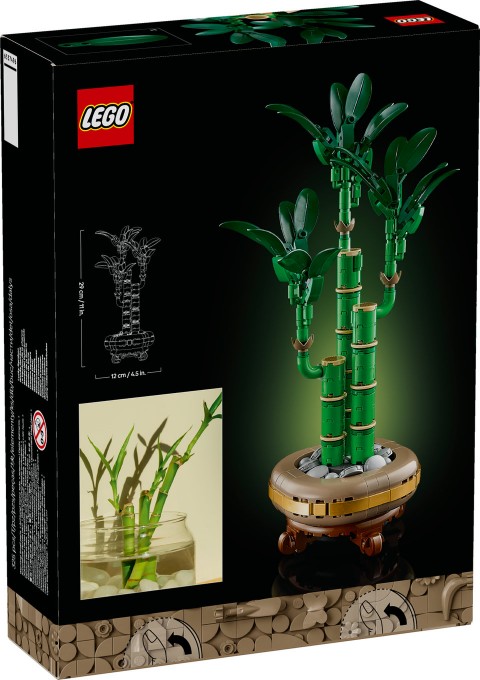 10344 | Dracena SanderaIVET.RO - Reduceri de până la -80%