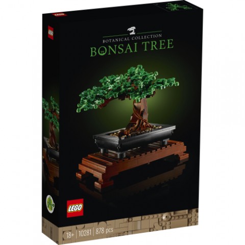 10281 | Bonsai copacIVET.RO - Reduceri de până la -80%