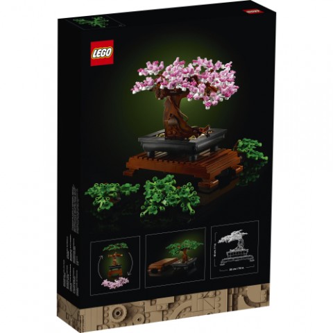 10281 | Bonsai copacIVET.RO - Reduceri de până la -80%