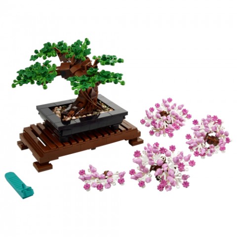 10281 | Bonsai copacIVET.RO - Reduceri de până la -80%