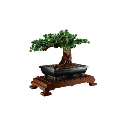 10281 | Bonsai copacIVET.RO - Reduceri de până la -80%