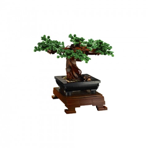 10281 | Bonsai copacIVET.RO - Reduceri de până la -80%