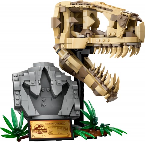 76964 | Schelete de dinozauri - craniu de tiranozaurIVET.RO - Reduceri de până la -80%