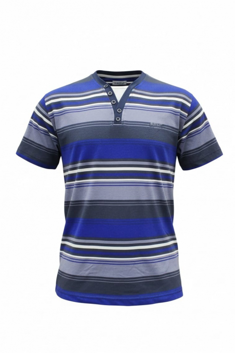 Tricou clasic pentru bărbăti cu mânecă scurtă, in dungi BLUFEGO, Culoare: albastru, IVET.RO - Reduceri de până la -80%