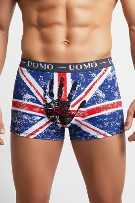 boxeri pentru bărbați BRITIZO GREY