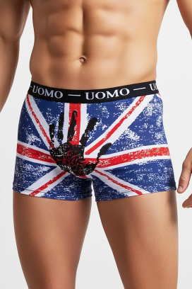 boxeri pentru bărbați BRITIZO BLACK